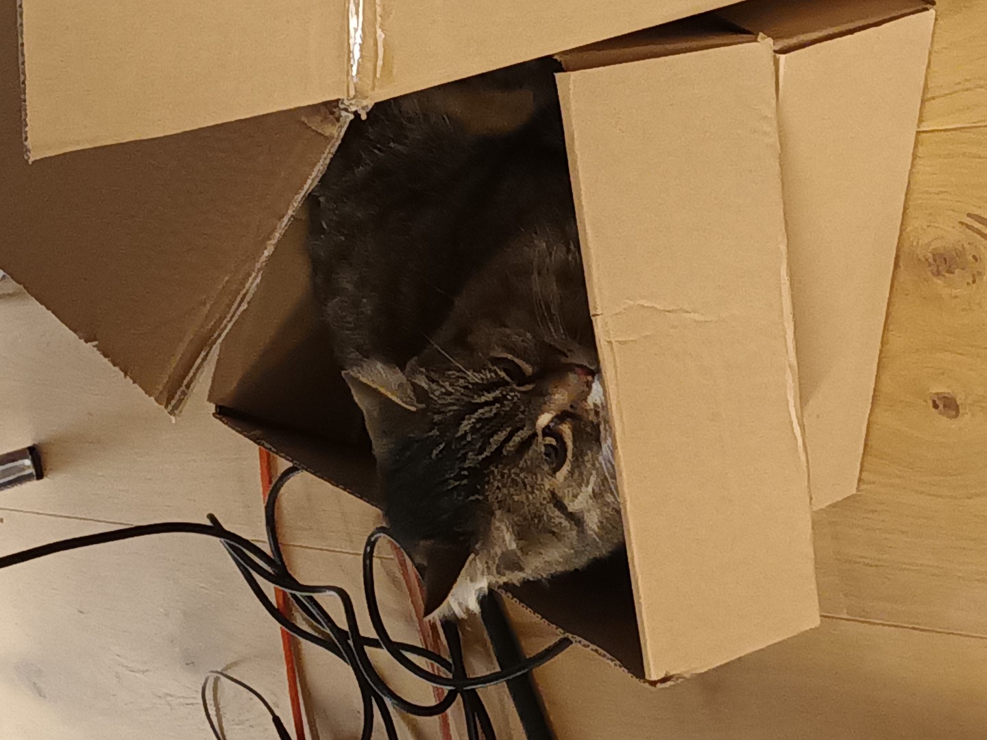 Buchenau_2022 (74).jpg